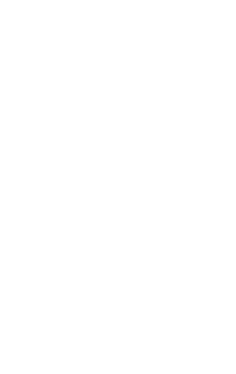 B-Twig