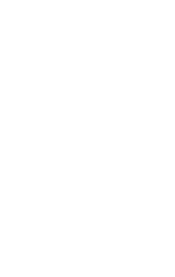 AntMix