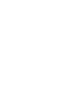 AntMix